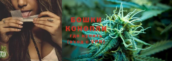 дмт Горняк
