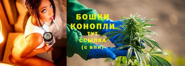 дмт Горняк