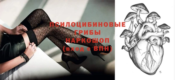 дмт Горняк