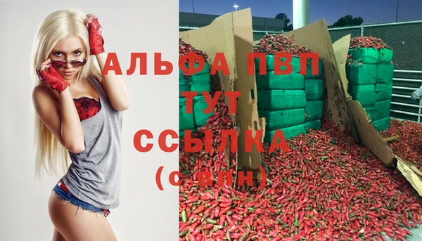 дмт Горняк