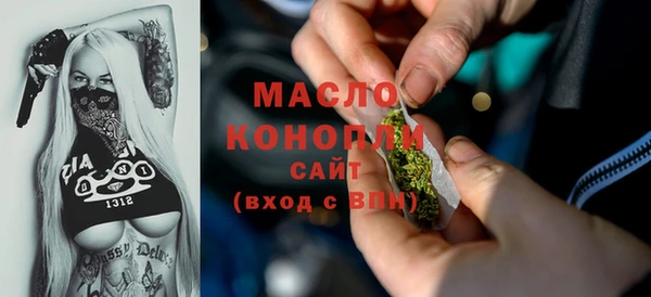 молекула духа Горнозаводск