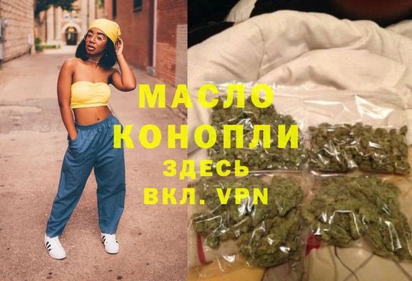 молекула духа Горнозаводск