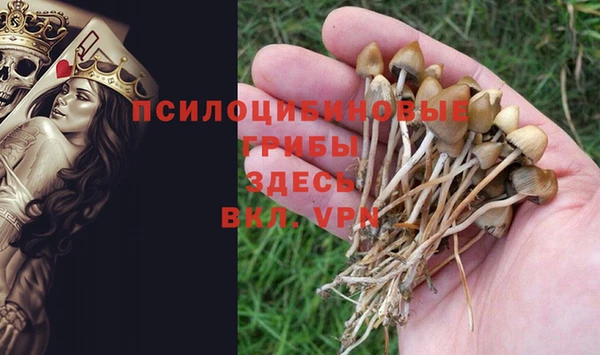 молекула духа Горнозаводск