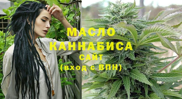 молекула духа Горнозаводск