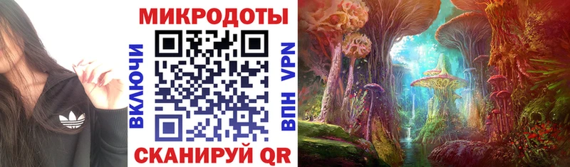 Купить где  Каменногорск  Псилоцибиновые грибы мухоморы 